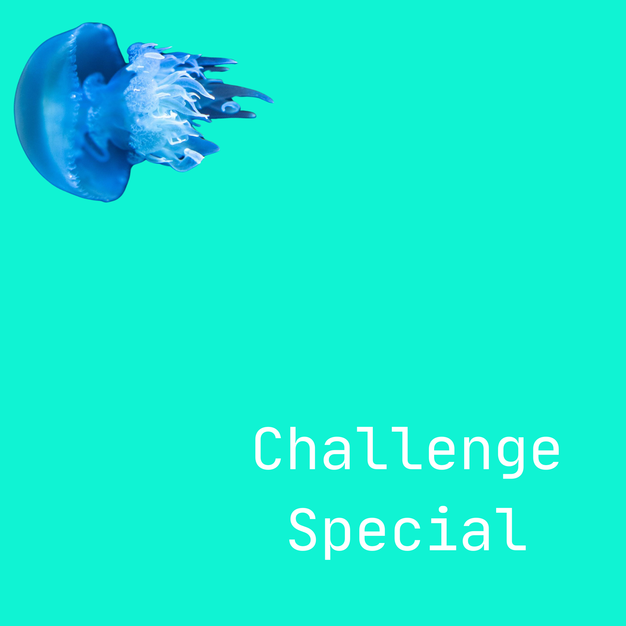 Challenge Special Abbildung