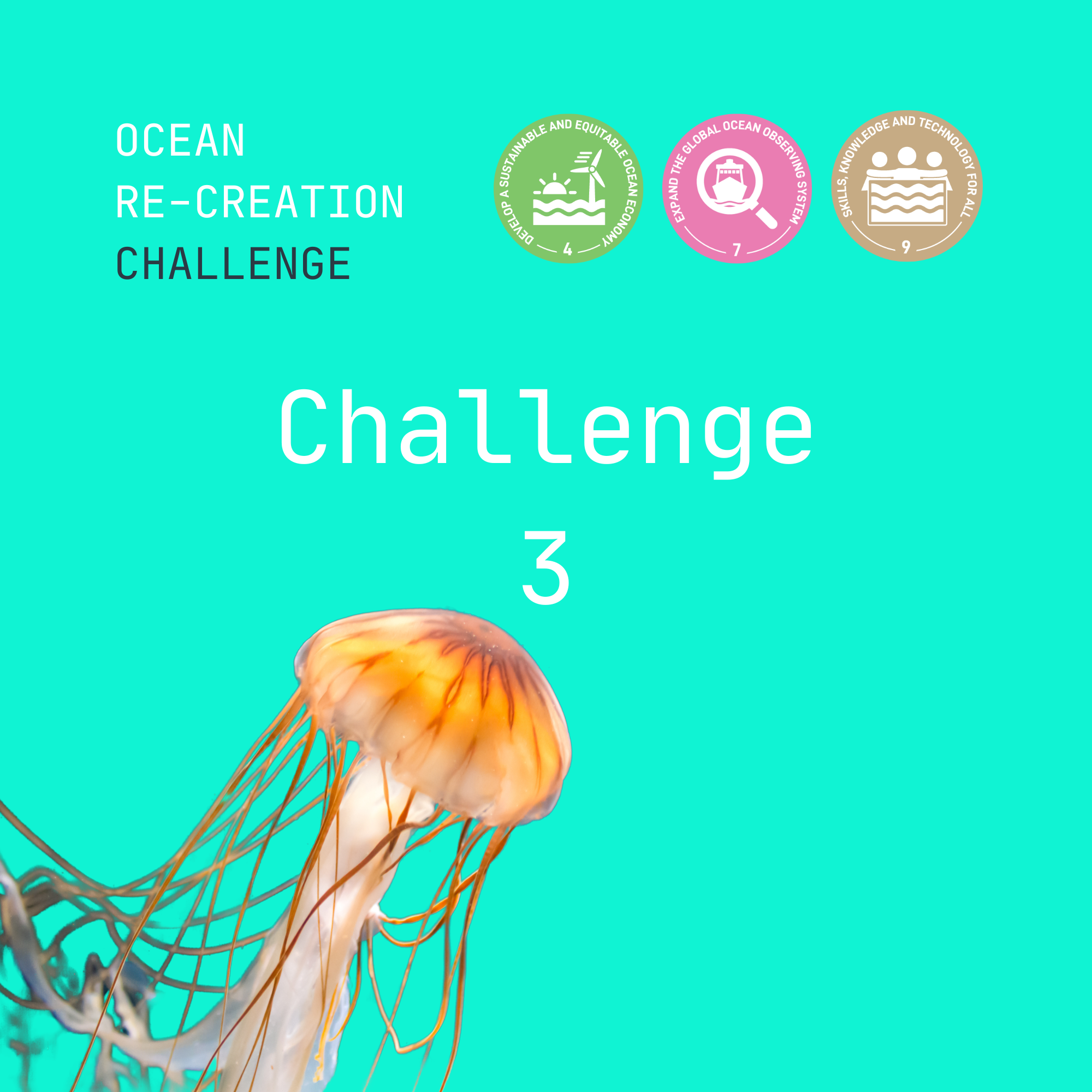 Challenge 3