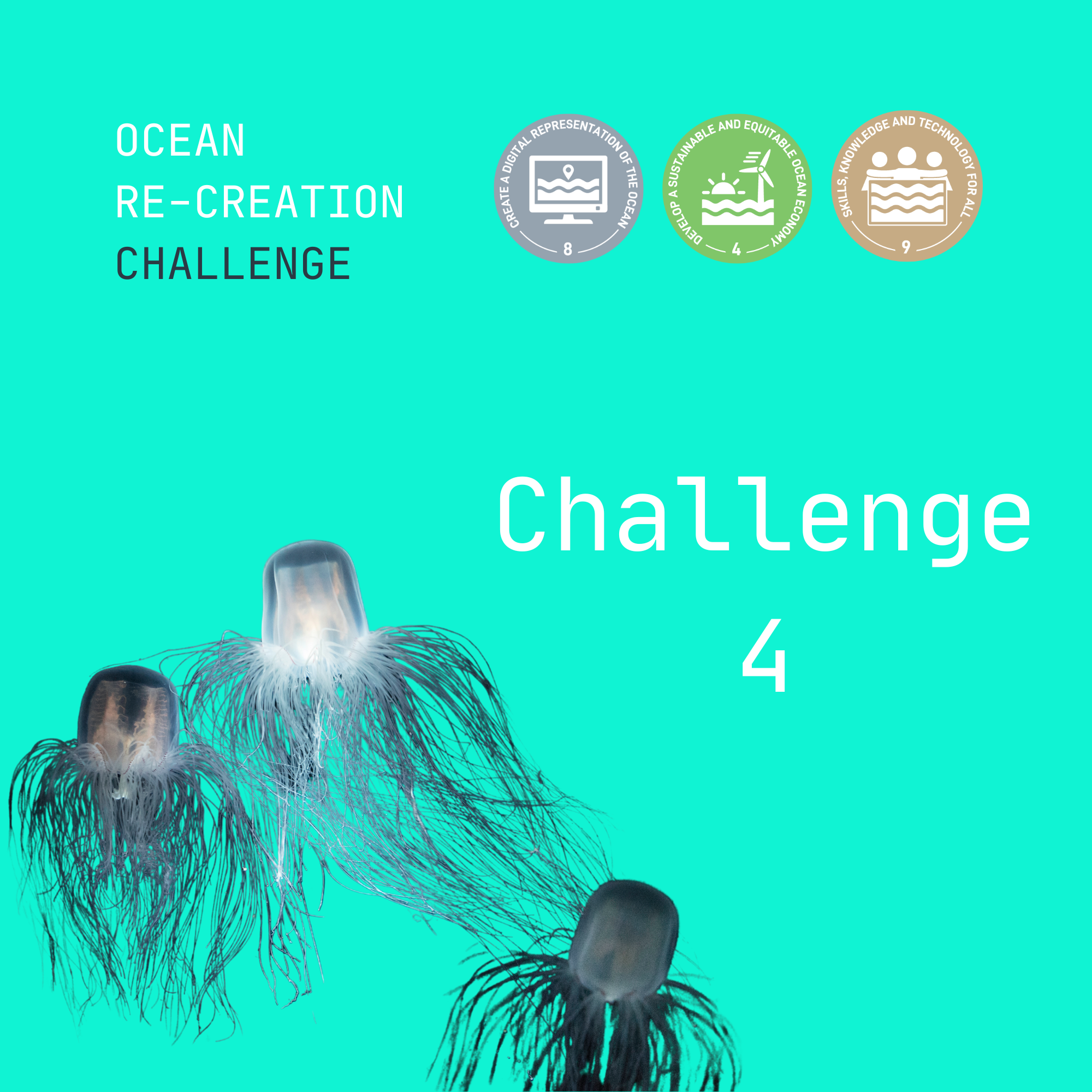 Challenge 4